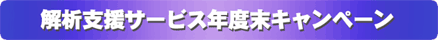 解析支援サービス年度末キャンペーン