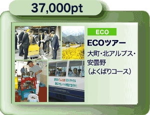 37,000pt ECOcA[i咬EkAvXEܖj