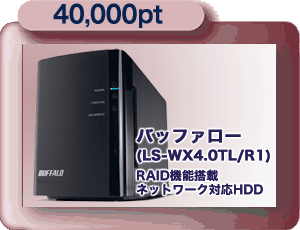 40,000pt n[hfBXN 4,000GB