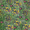 grass006