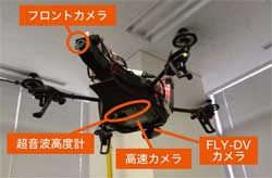 画像をクリックすると大きな画像が表示されます。