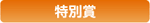 特别奖